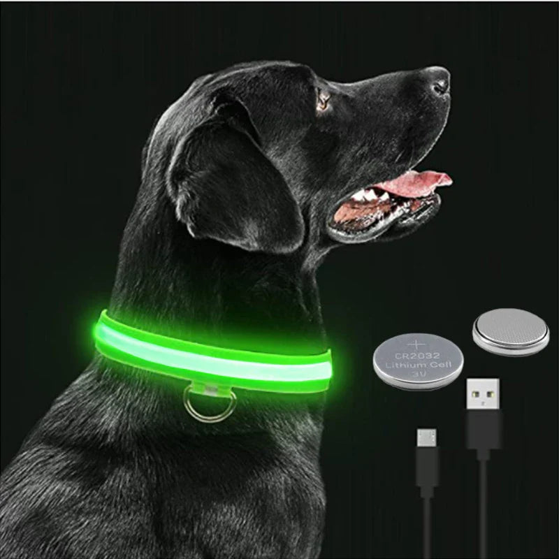 NattSyn- LED-blinkande hundhalsband för hundar