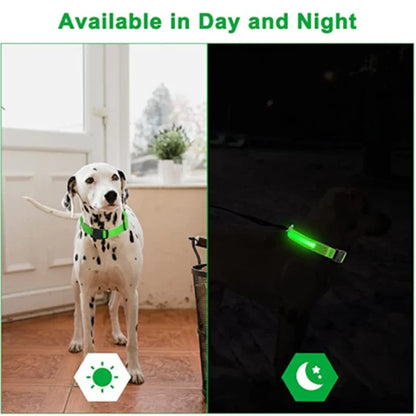 NattSyn- LED-blinkande hundhalsband för hundar