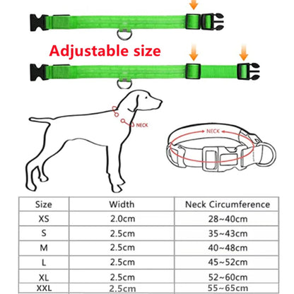 NattSyn- LED-blinkande hundhalsband för hundar