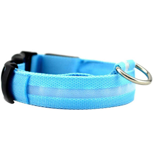 NattSyn- LED-blinkande hundhalsband för hundar